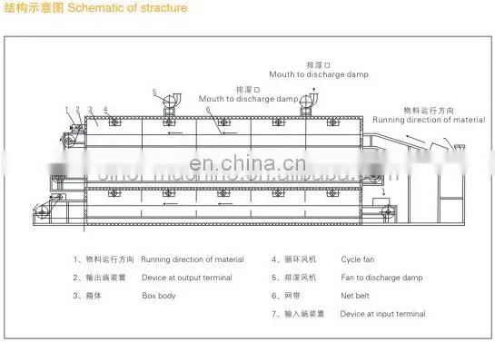 contiunous drying mango chips processing plant