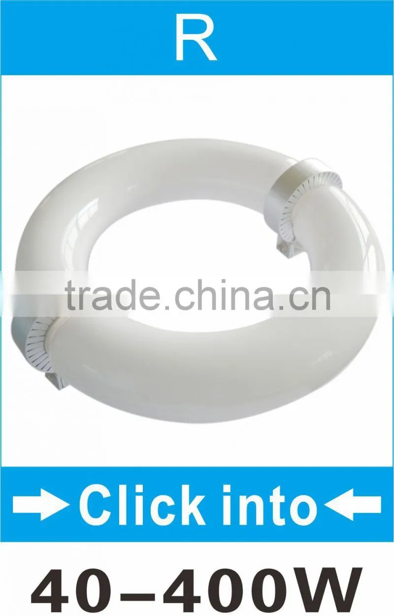 dimmer induction lamp