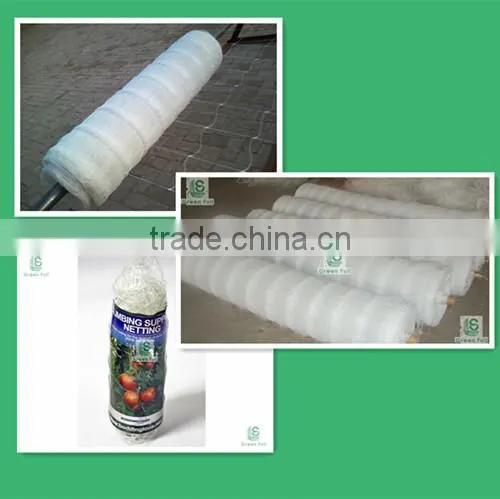 flower pea bean plastic plant support netting