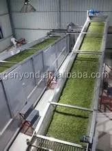 Tea Leaf Processing Machine / Tea Steamer /tea Steaming Machine