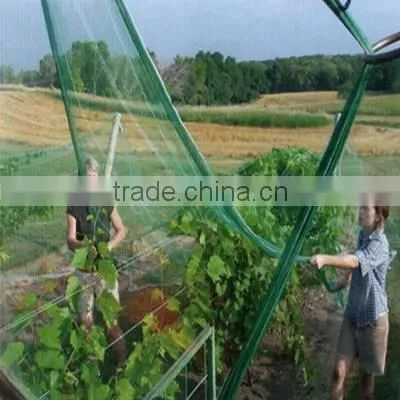 100% virgin plastic knitted ext strong anti bird net