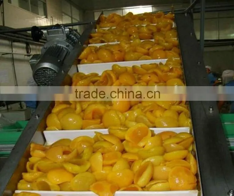 Stainless Steel Fruit Belt Conveyor Price