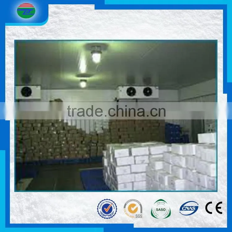 Most popular creative super quality fish cold freezer/fish blast freezer/cold storage/cold room