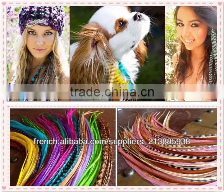 Thin Long party show colorful top sale real rooster feather hair extensions