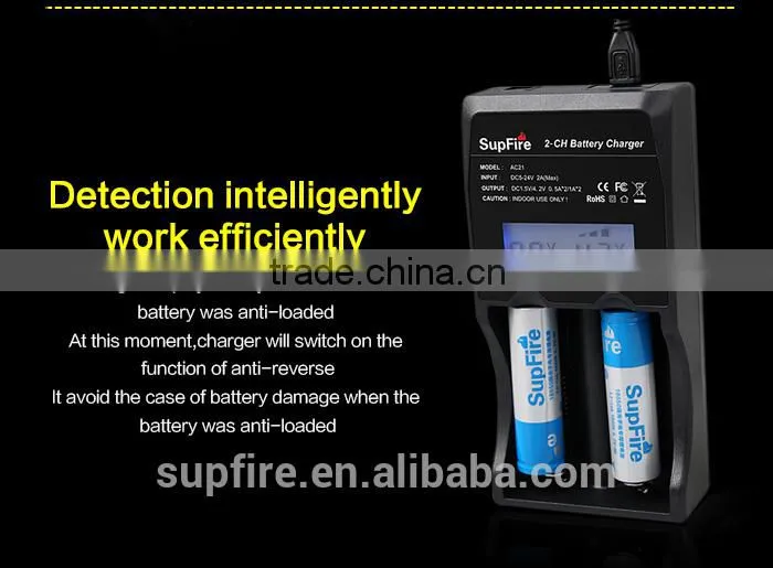 Battery charger AC21