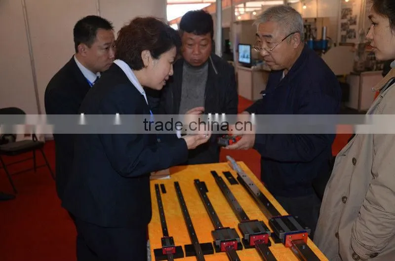 Linear guide rail and slider/carriages,hiwin linear guideway,cnc linear guide rail