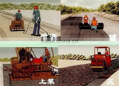 CHINA BAOLI Geogrid