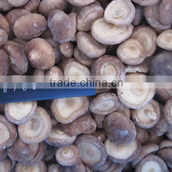 Frozen Shiitake Mushroom Iqf Shiitake Mushrooms