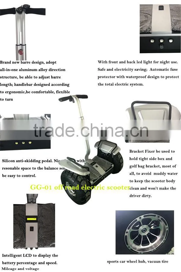 48V two wheeled self balancing electric personal transport vehicle