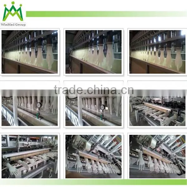 Glove Factory sample free disposable medical latex glove