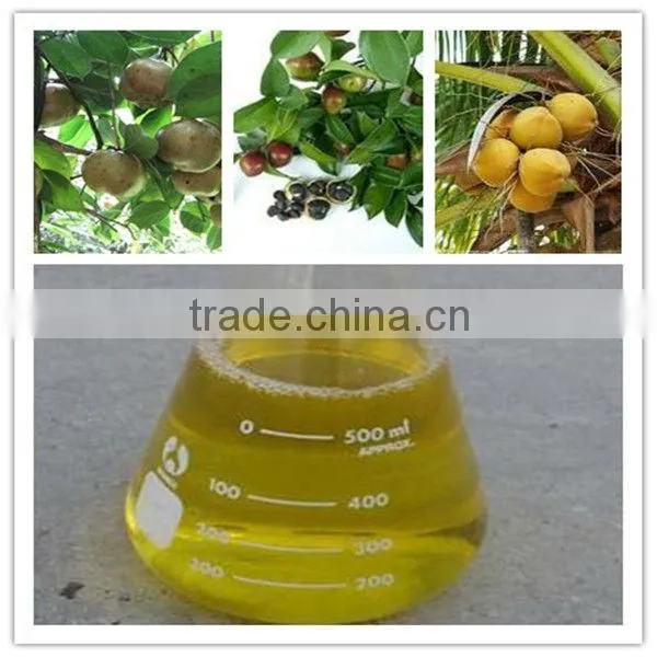 ISO Approved High-quality 100T/D Sunflower seed oil solvent extraction plant
