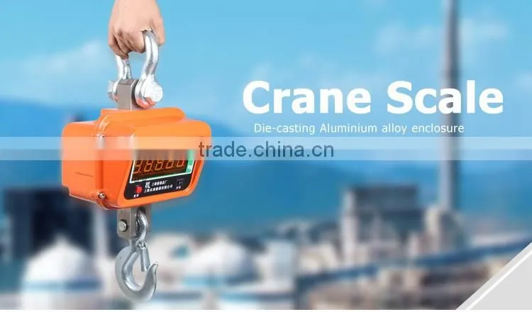 Large Capacity Low Price Crane Scale OCS-3T
