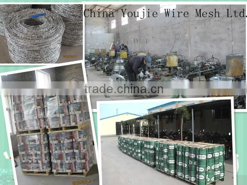 China alibaba galvanized barbed wire( factory hot sell! ISO9001)