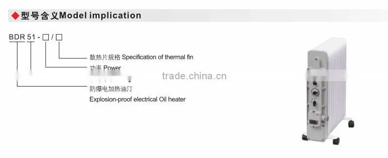 BDR51 Free standing electric oil heater IIB with lowest price