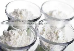 instant coconut milk powder