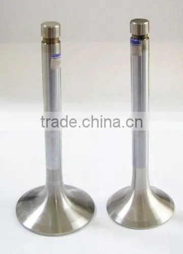 056109601A & 056109611A engine valve for Passat