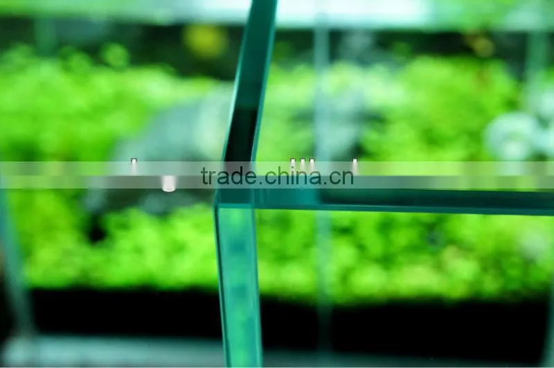 DICI ultra white tank aquarium