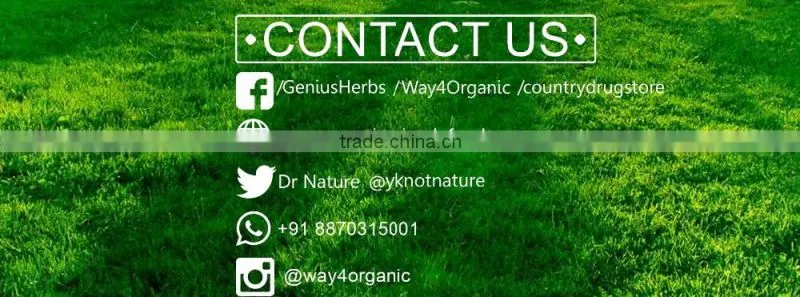Slimming Herbal Green Tea For Trade