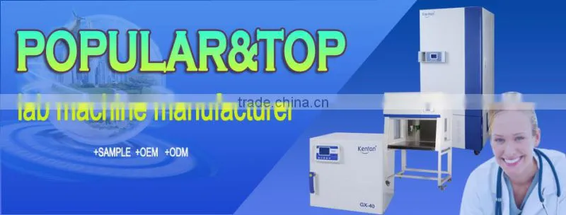 PID control temperature illumination test chamber with cooling system