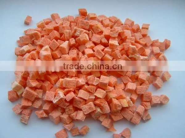 TTN Dried Carrot