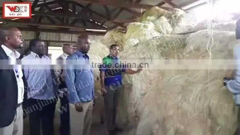 High Quality Fiber Sisal decorticator machine