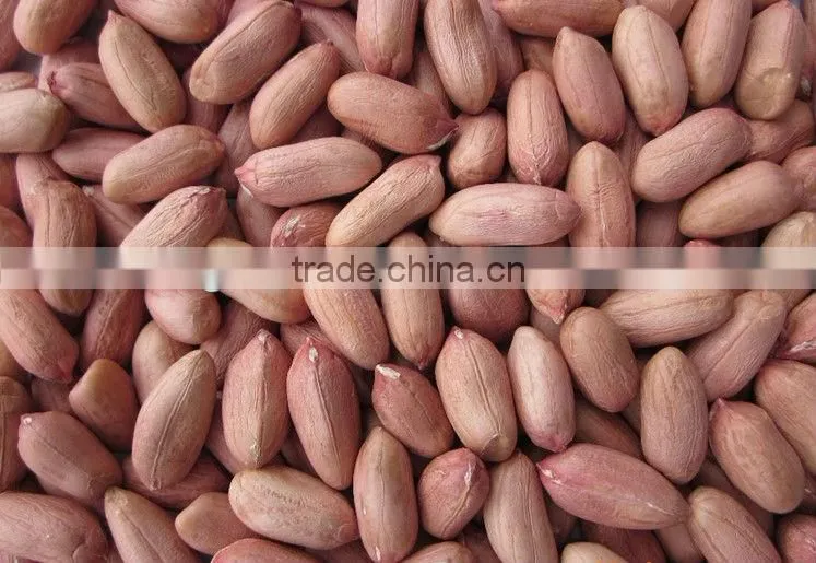 2014 Peanut kernels, Round shape, Chinese Java 40/50 , 50/60 ,60/70