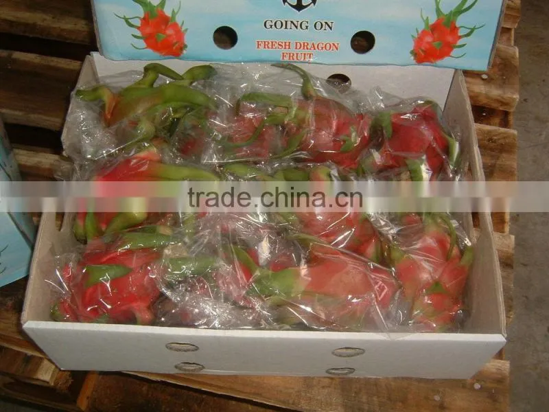 Dragon Fruit White Flesh Vietnam