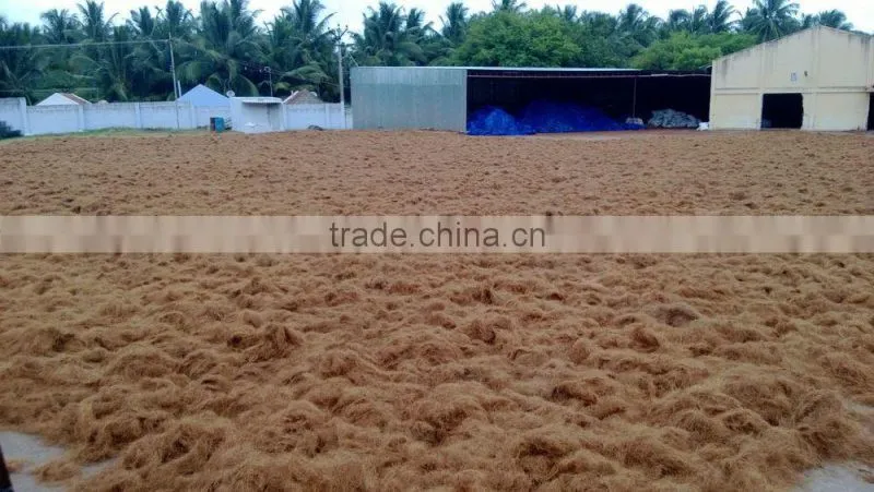 Natural Coco peat/Coco pith/Coir Products