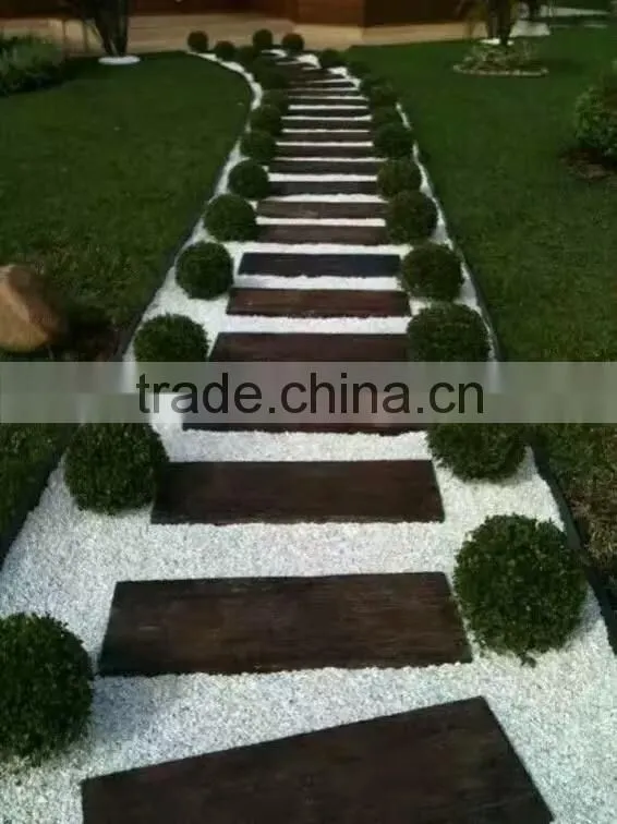 Palace Garden Yard Green Landscape