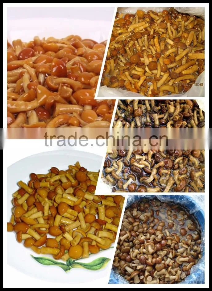 Nameko in brine