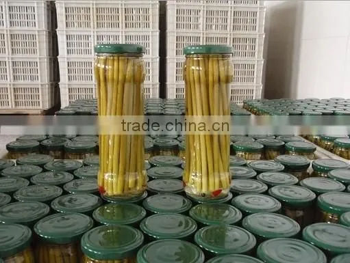 Good quality canned garlic sprouts
