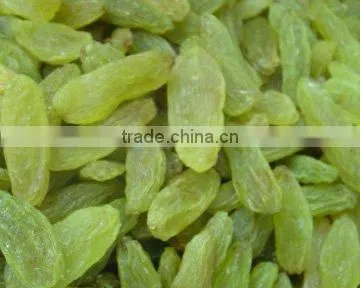 raisins/fruit /freeze dried fruit