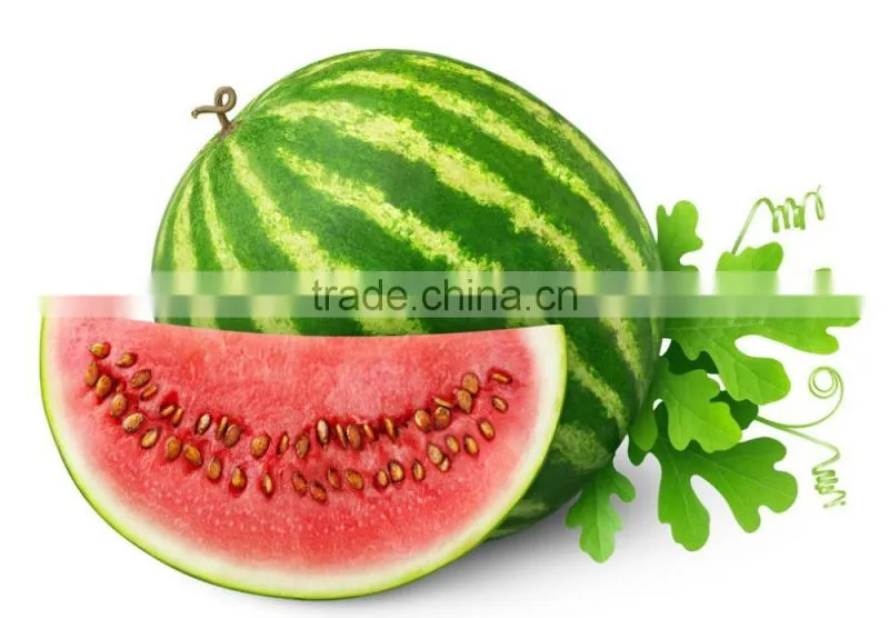 Free Sample Good Water-soluble watermelon juice extract powder