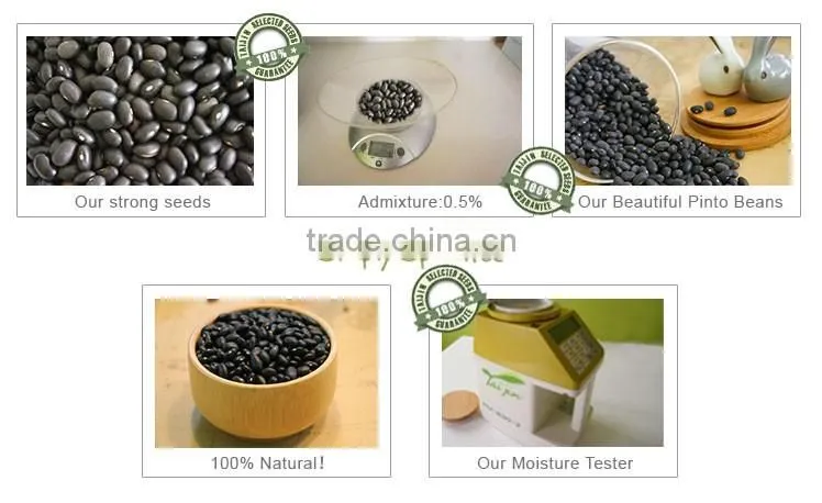 High Quality Edible Black Beans