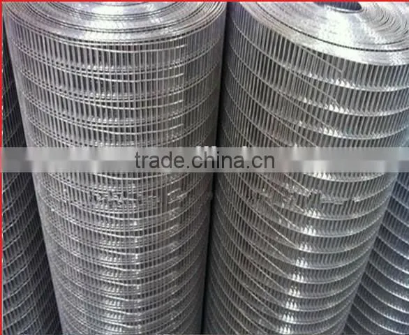 Hot dipped galvanized weld wire mesh fencing chicken coop rabbit cage welded wire netting