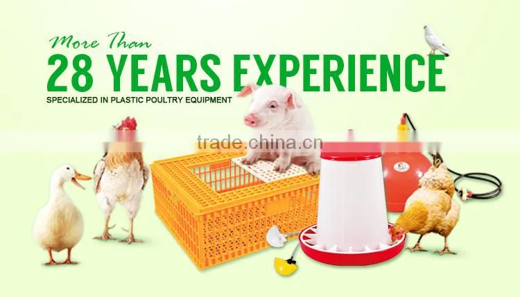 Poultry farm equipment animal chicken pigeon plastic poultry feeding troughs