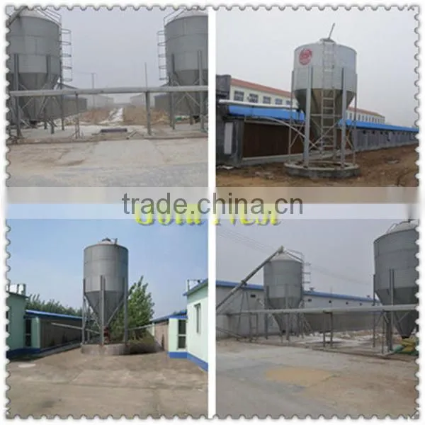 chicken egg poultry farm