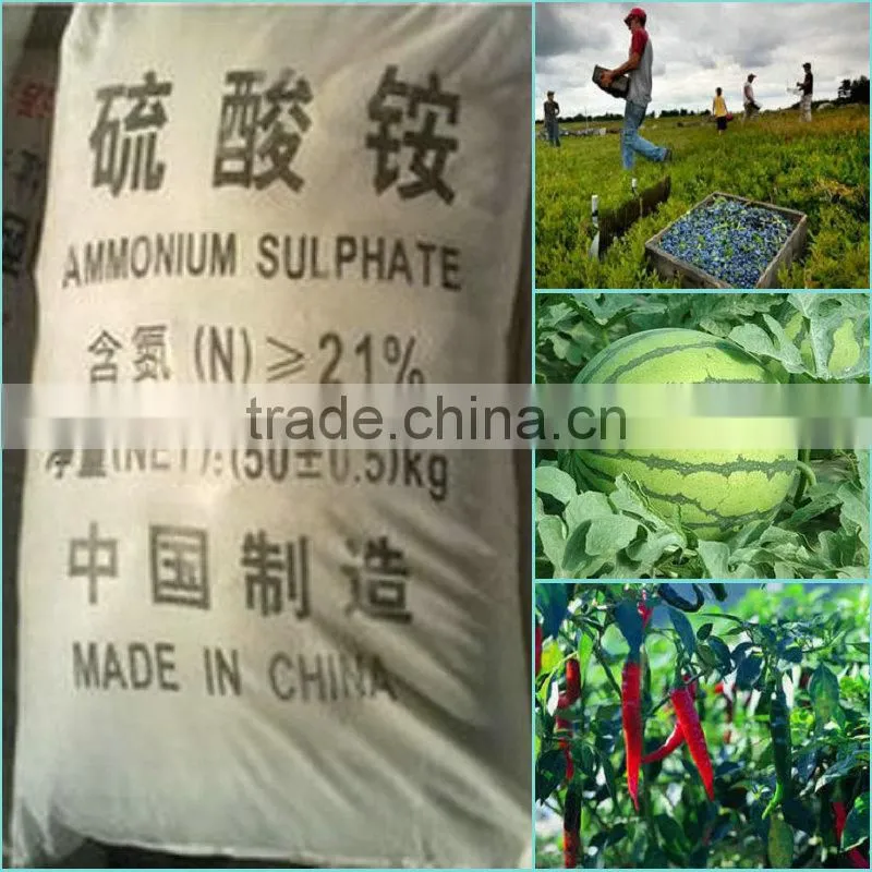 ammonium sulphate compacted granular 2-5mm