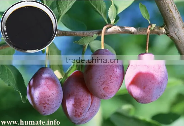 Brands of Organic Fertilizer Amino Acid Liquid
