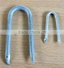 Roofing Nail