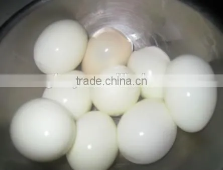 5000 eggs/h automatic egg peeler quail egg peeler egg peeler machine
