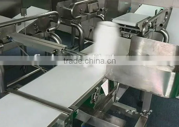 High Accurate micro belt check weigher