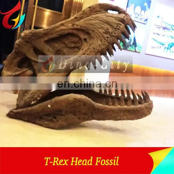 Life size museum quality fiberglass dinosaur head fossil