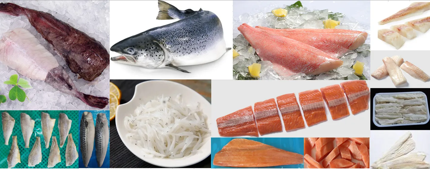 Hand Foods (Dalian) Co., Ltd. company overview - view 4