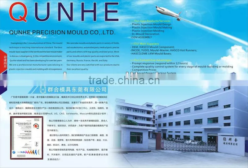 Electric Oven With 2 Hot Plate plastic injection mould for home appliance