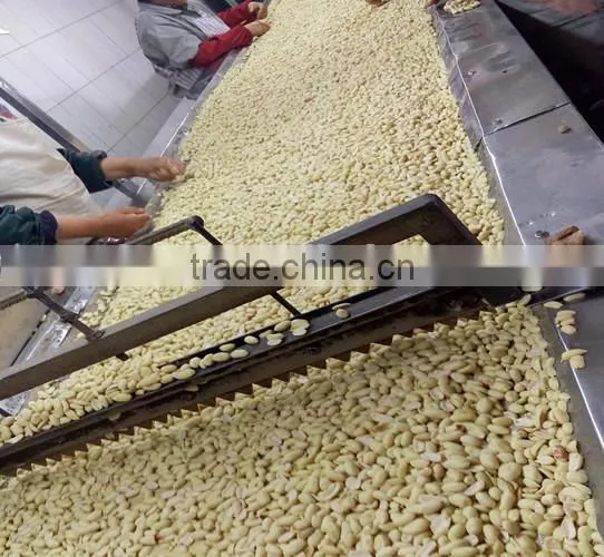 blanched peanut blanched peanuts