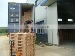 Changxing Roying Hardware Tools Co., Ltd. company overview - view 3