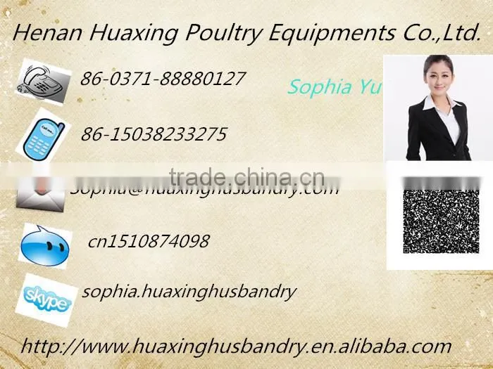 huaxing well selling broiler chicken cage/chicken cage/chicken breeding cage