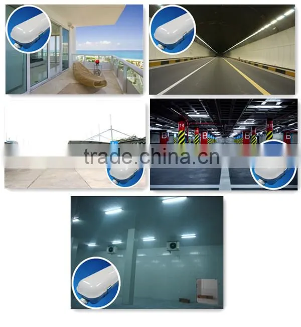 PC housing clear lens surface mount with EBBU function IP65 Vapor tight light
