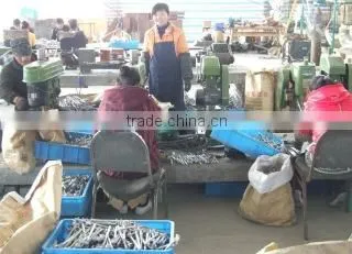 Shaoxing Forward Electrical Equipment Co., Ltd. company overview - view 2